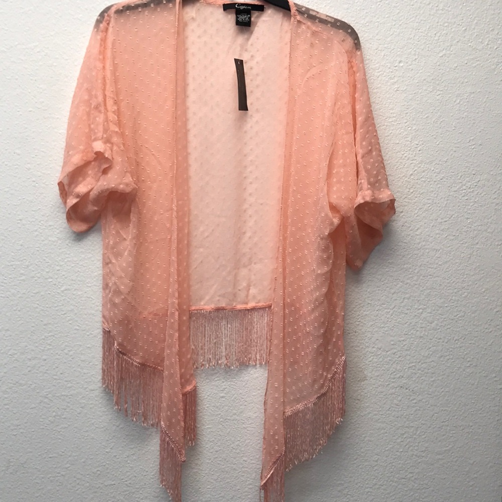 Cejon Solid Swiss Dot Fringe Cover U Pink ONE SIZE 2 FOR $15